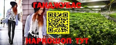 гашик Тара