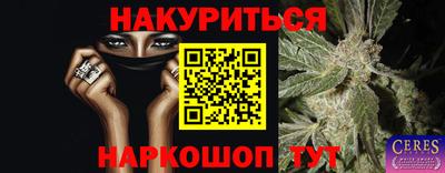 стафф Гай