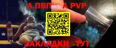 стафф Гай