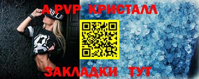стафф Гай