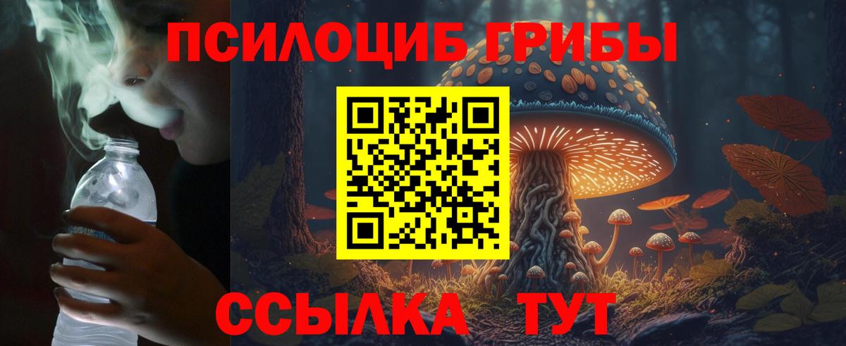 Галлюциногенные грибы Cubensis Надым